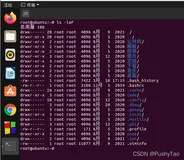 [Linux] 输入命令ls -laF后的各字段含义解析