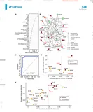 跟着Cell学作图 | 13.随机森林分类及其可视化(R包randomForest)