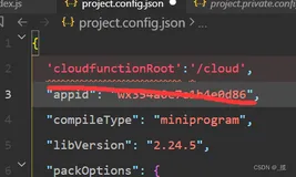 配置project.config.json文件报错 解析 project.config.json 文件失败，请检查其内容或删除此文件。