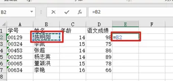 2022年最新Python大数据之Excel基础
