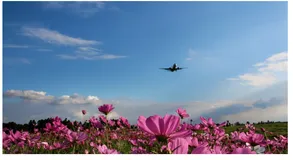 欢迎来到 WebGPU 的世界 上