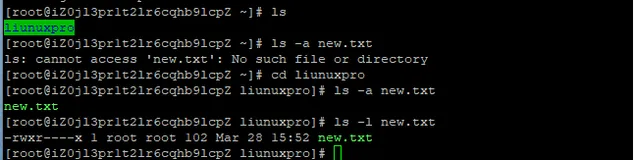 Linux自学体验（使用阿里云服务器）