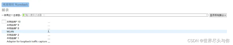 Wireshake简介与使用方法
