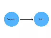 UC Berkeley哲学教授 Alva Noe：还原论远不是通向人工智能的坦途