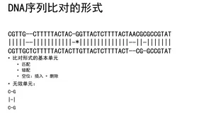 双序列比对
