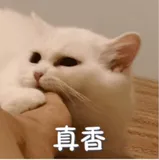 上手体验华为AI平台ModelArts