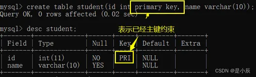 【MySQL】一文带你了解数据库约束