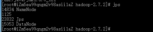 ECS服务器搭建hadoop伪分布式（二）