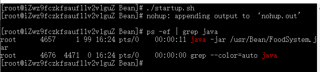 如何在Linux中使SpringBoot项目关闭终端后不关闭项目进程