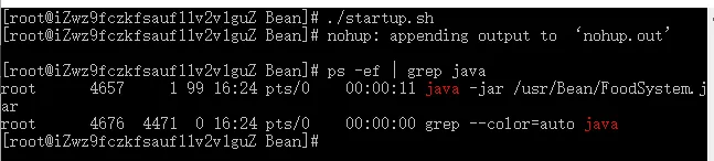 如何在Linux中使SpringBoot项目关闭终端后不关闭项目进程