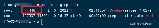 linux根据进程号PID查找启动程序的全路径