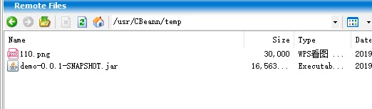 SpringBoot怎么获取到上传到Linux服务器（非项目内）的图片