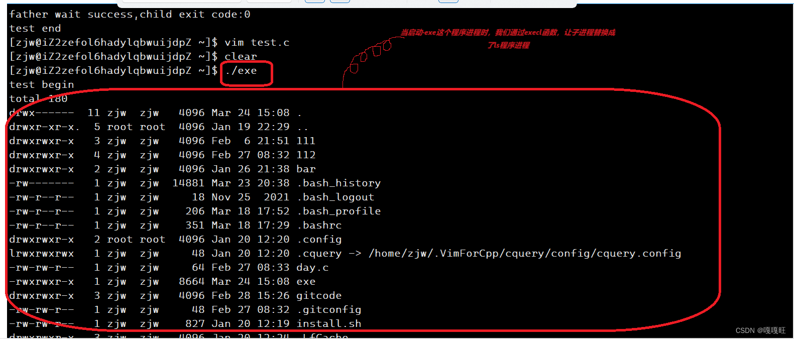 【linux】进程替换