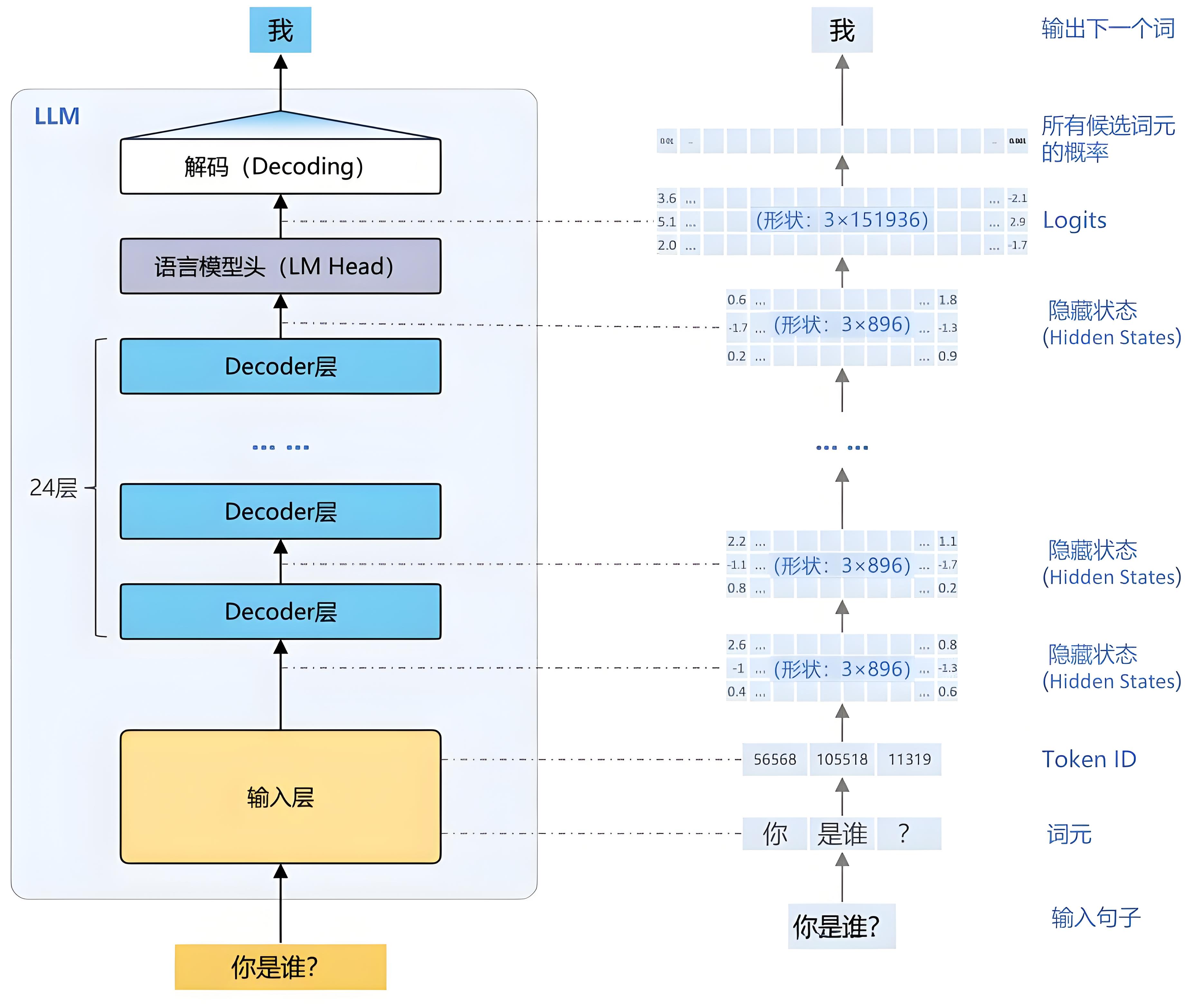 可视化大模型流程：图解Token处理与词生成过程​