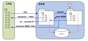 Git 保姆级使用教程-2