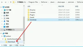 幻兽帕鲁存档迁移问题心得_告别存档丢失_进入就掉线