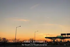 运用layui实现增删改查