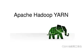 Hadoop Yarn RPC未授权访问漏洞
