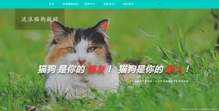 基于SSM框架实现宠物领养系统的设计与实现