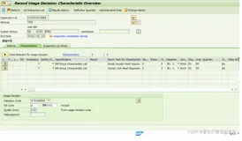 SAP QM 事务代码QA11里的to New Material