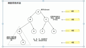 数据结构和算法-二叉树三种遍历方式|学习笔记