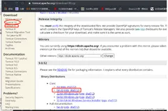 99%的人看了它都会说这是一篇很全的tomcat服务❤️❤️[⭐建议收藏⭐]