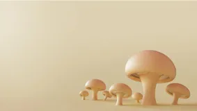 建设下一代 Web 开放技术——WebContainer