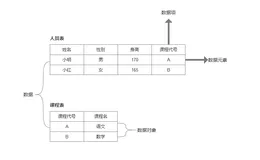数据结构之数据、数据元素、数据项、数据对象之间的关系