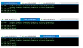 分布式集群环境之域名映射与免密码登录