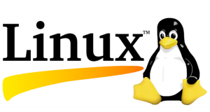 【Linux】基础信息（一）