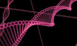 阿里云基因公共数据集使用说明文档 