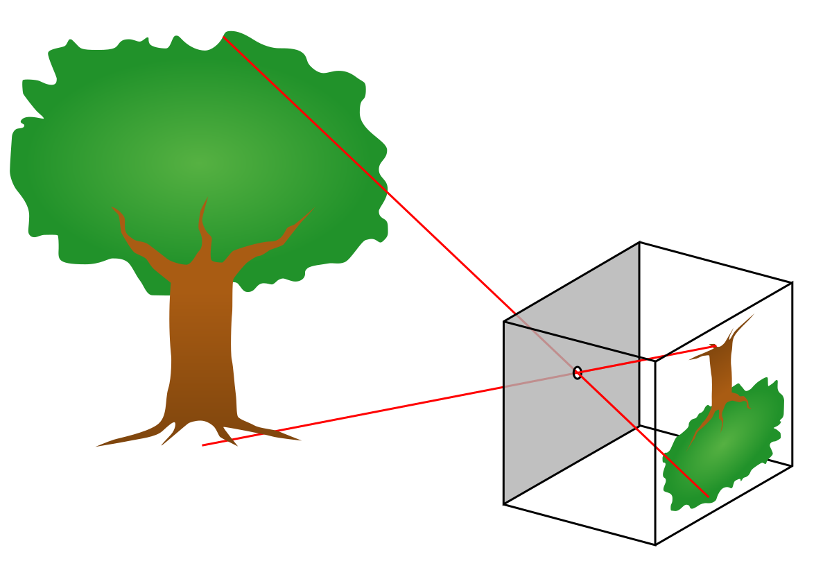 d56b5018de1f418f90cbb52aa897dd25.png