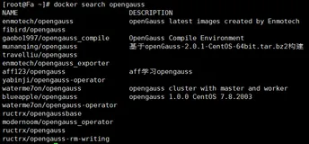 使用ECS+Docker运行OpenGauss
