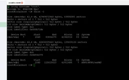 升级！必须记录！在不影响现有应用的情况下对Linux服务器做系统重装，挂载硬盘，移动老文件，安装宝塔，恢复应用