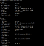 树莓派4B使用Docker部署SpringBoot项目——（一）树莓派安装docker