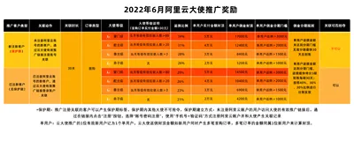 2022年l6月云大使返佣规则