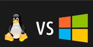 网站服务器系统，选windows还是linux？