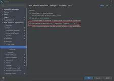 Clion Debug模式使用实践