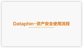 【视频】Dataphin数据安全视频产品手册