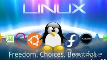 Linux系统中标准输入设备的控制实现