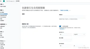 ES滚动索引机制