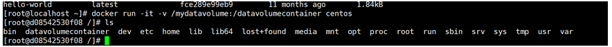 Docker之快速搞定容器数据卷