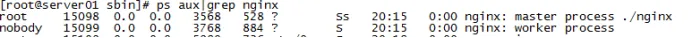 Linux上安装nginx