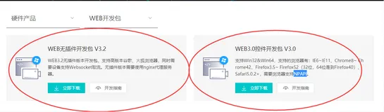 如何在VUE中播放RTSP 实时视频，延迟要小于300毫秒？