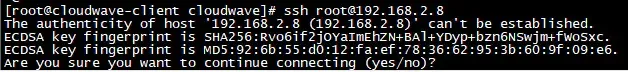 5.webp.jpg
