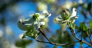 What's new in dubbo-go v1.5.6