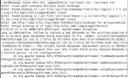 HDFS使用appendToFile报错WARN hdfs.DFSClient: DataStreamer Exception java.io.IOException: Failed