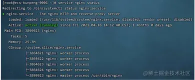 在华为鲲鹏OpenEuler20.03系统上安装Redis, Zookeeper, Nginx