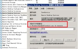 服务启动失败排查方案