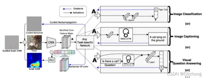 【27】grad-cam的简单逻辑实现以及效果展示